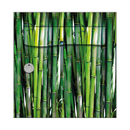 Autocollant Sticker Décoration Boîte aux lettres Bambous Verts - Face Avant
