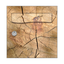 Autocollant Sticker Décoration Boîte aux lettres Tronc d’Arbre 2 - Face Avant