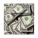 Autocollant Sticker Décoration Boîte aux lettres Texture Billet Dollard - Face Avant