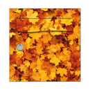 Autocollant Sticker Décoration Boîte aux lettres Feuilles Mortes 2 - Face Avant