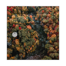 Autocollant Sticker Décoration Boîte aux lettres Texture Forêt - Face Avant