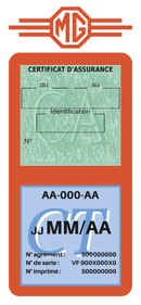 Porte Vignette Assurance Pare Brise Voiture Pour MG | Double Étui Pochette Adhésive Autocollant Sticker Orange