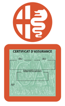 Porte Vignette Assurance Pare Brise Voiture Pour Alfa Romeo | Étui Simple Pochette Adhésive Autocollant Sticker Orange