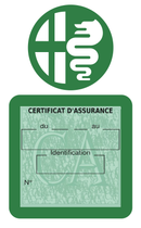 Porte Vignette Assurance Pare Brise Voiture Pour Alfa Romeo | Étui Simple Pochette Adhésive Autocollant Sticker Vert