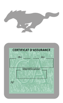 Porte Vignette Assurance Pare Brise Voiture Pour Mustang | Étui Simple Pochette Adhésive Autocollant Sticker Gris