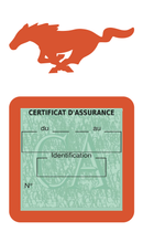 Porte Vignette Assurance Pare Brise Voiture Pour Mustang | Étui Simple Pochette Adhésive Autocollant Sticker Orange