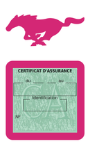 Porte Vignette Assurance Pare Brise Voiture Pour Mustang | Étui Simple Pochette Adhésive Autocollant Sticker Rose