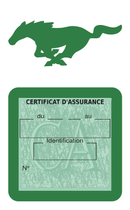 Porte Vignette Assurance Pare Brise Voiture Pour Mustang | Étui Simple Pochette Adhésive Autocollant Sticker Vert