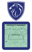 Porte Vignette Assurance Pare Brise Voiture Pour Peugeot | Étui Simple Pochette Adhésive Autocollant Sticker Bleu