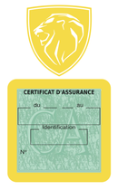 Porte Vignette Assurance Pare Brise Voiture Pour Peugeot | Étui Simple Pochette Adhésive Autocollant Sticker Jaune