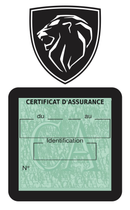 Porte Vignette Assurance Pare Brise Voiture Pour Peugeot | Étui Simple Pochette Adhésive Autocollant Sticker Noir