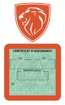 Porte Vignette Assurance Pare Brise Voiture Pour Peugeot | Étui Simple Pochette Adhésive Autocollant Sticker Orange