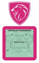 Porte Vignette Assurance Pare Brise Voiture Pour Peugeot | Étui Simple Pochette Adhésive Autocollant Sticker Rose