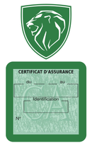 Porte Vignette Assurance Pare Brise Voiture Pour Peugeot | Étui Simple Pochette Adhésive Autocollant Sticker Vert