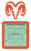 Porte Vignette Assurance Pare Brise Voiture Pour Dodge | Étui Simple Pochette Adhésive Autocollant Sticker Orange