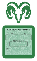 Porte Vignette Assurance Pare Brise Voiture Pour Dodge | Étui Simple Pochette Adhésive Autocollant Sticker Vert