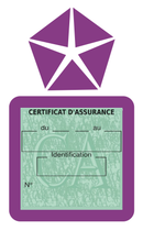 Porte Vignette Assurance Pare Brise Voiture Pour Chrysler | Étui Simple Pochette Adhésive Autocollant Sticker Mauve