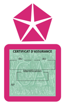Porte Vignette Assurance Pare Brise Voiture Pour Chrysler | Étui Simple Pochette Adhésive Autocollant Sticker Rose