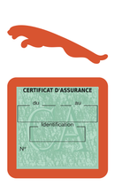 Porte Vignette Assurance Pare Brise Voiture Pour Jaguar | Étui Simple Pochette Adhésive Autocollant Sticker Orange