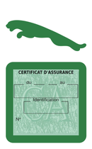 Porte Vignette Assurance Pare Brise Voiture Pour Jaguar | Étui Simple Pochette Adhésive Autocollant Sticker Vert