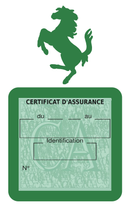 Porte Vignette Assurance Pare Brise Voiture Pour Ferrari | Étui Simple Pochette Adhésive Autocollant Sticker Vert